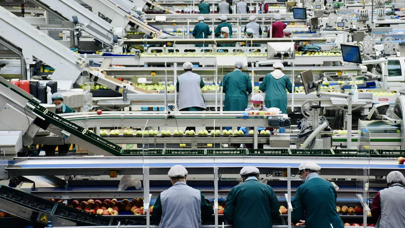 Italian food production facility, representing establishment certification for export markets