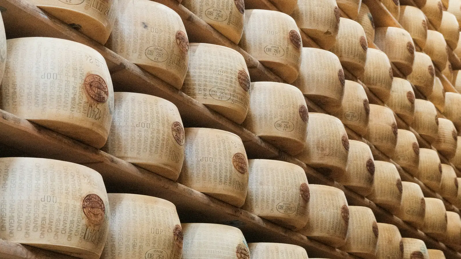 Parmigiano Reggiano Laibe reifen auf Holzregalen im Lager eines italienischen Produzenten