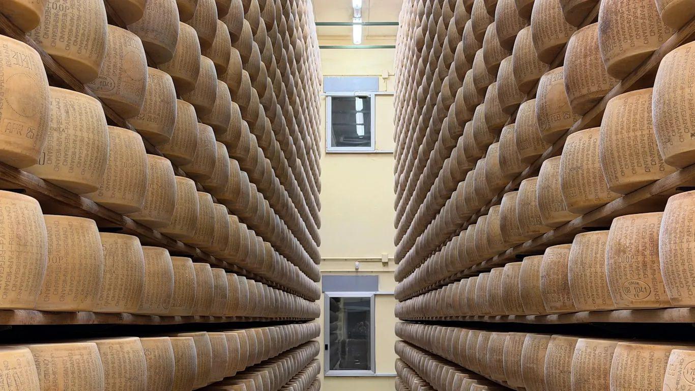 Rows of Italian cheese wheels ageing on warehouse shelves before export